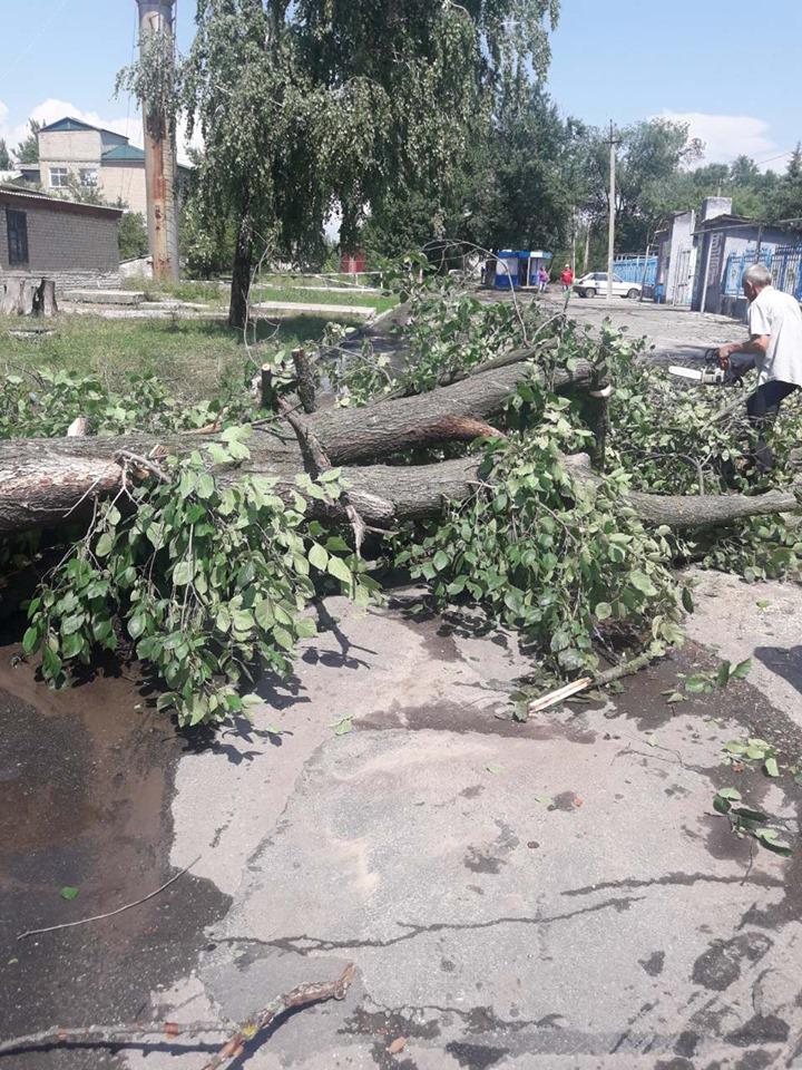 Луганская, непогода