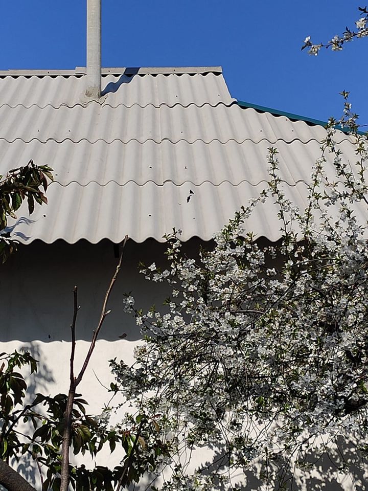 Луганская, Золотое