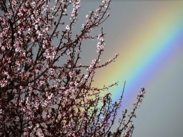 Благовещение Пресвятой Богородицы
