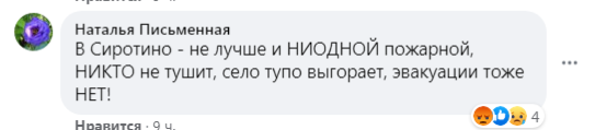 Луганская, лесные пожары