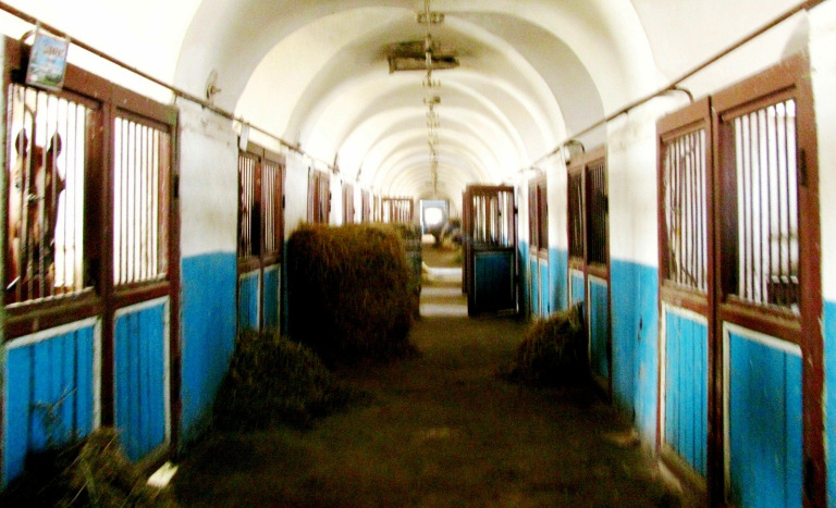 Деркульский конный завод