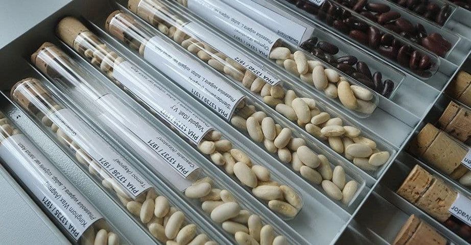 Национальный центр генетических ресурсов растений
