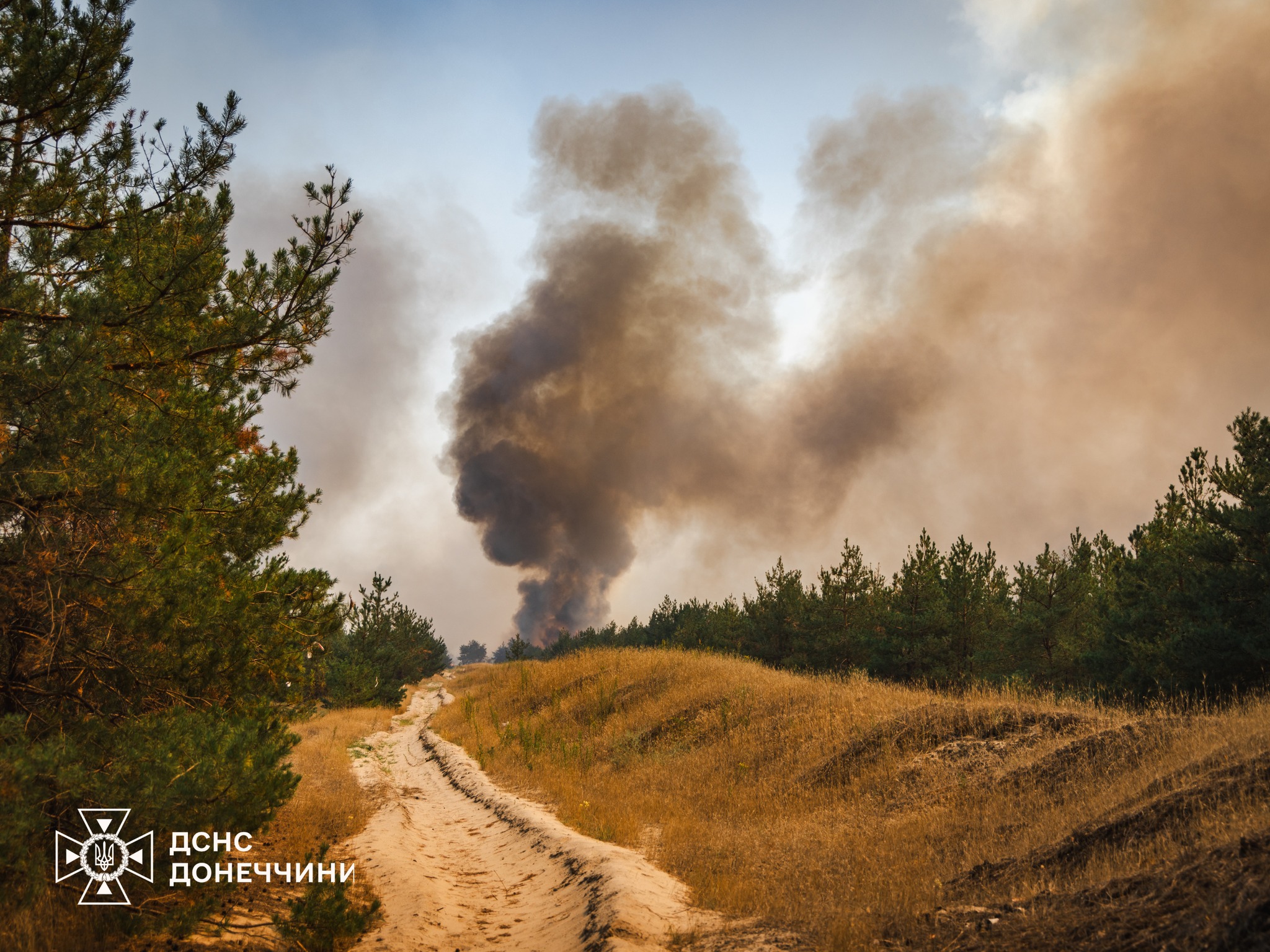 Фото: ГСЧС Донецкой области