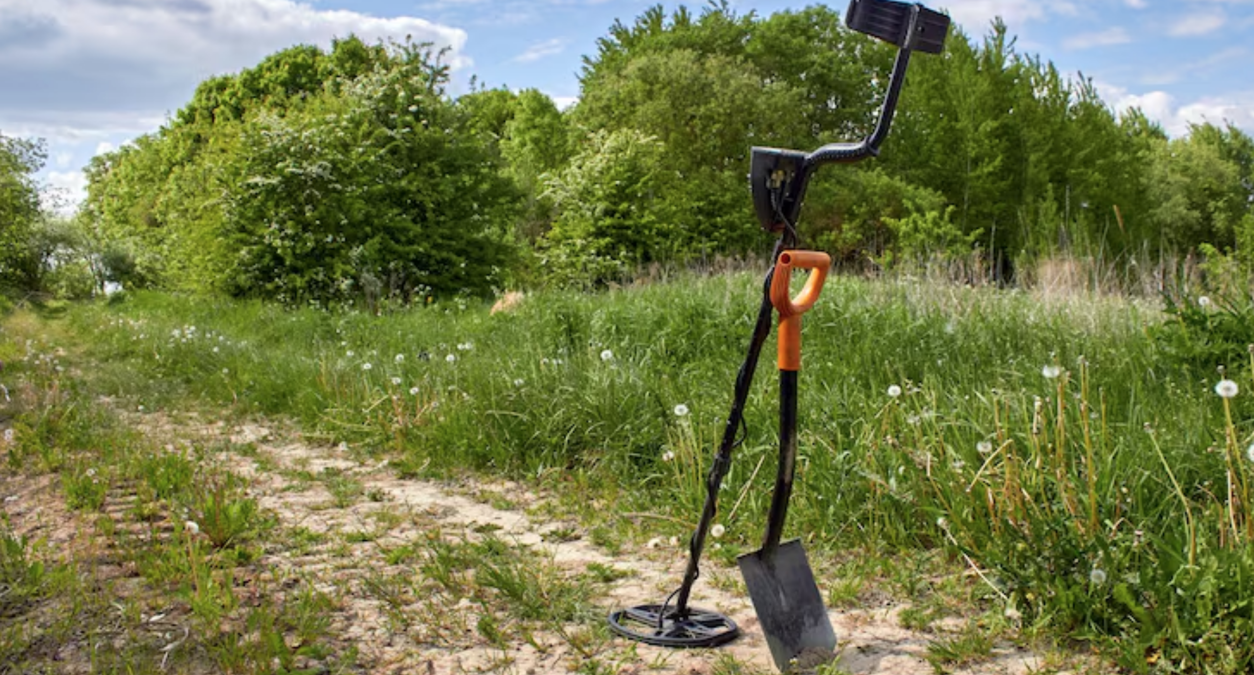 Купити металошукач