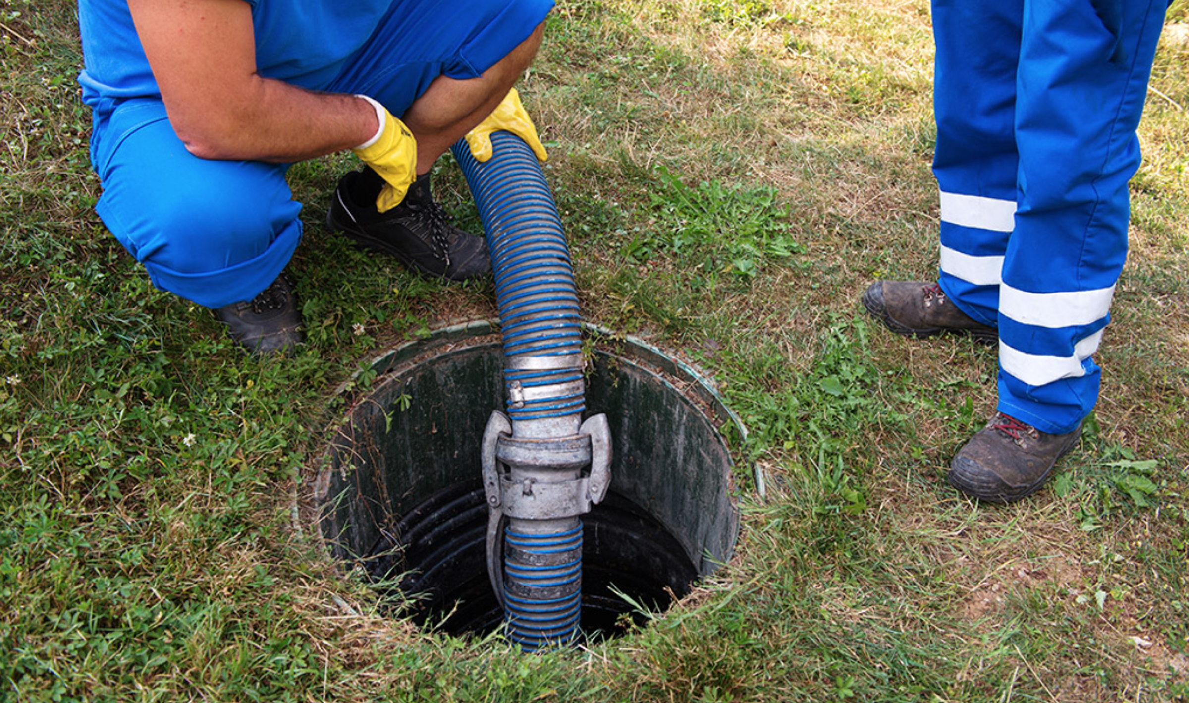 бактерии для септиков и выгребных ям Evogen Septic Plus