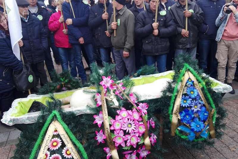 свинья