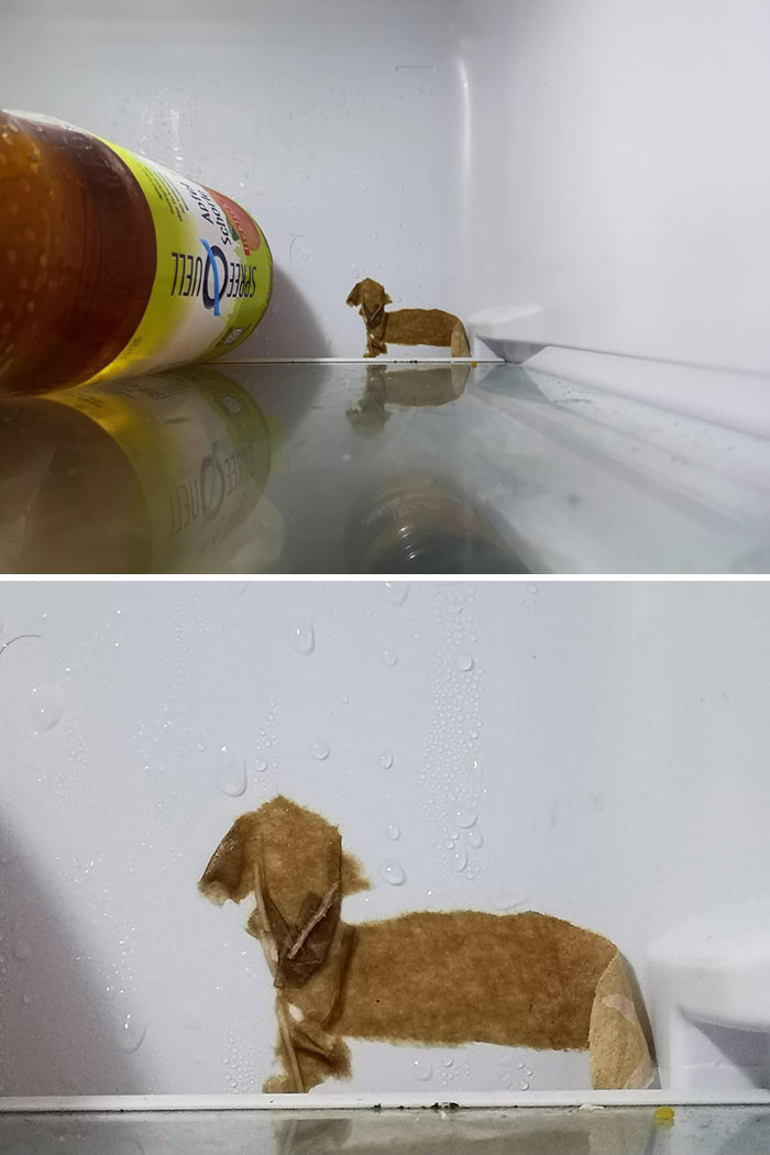 яя
