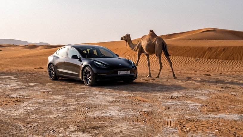tesla прокат