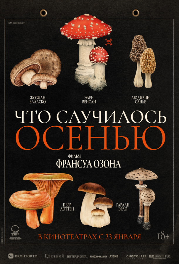 фильмы 2025