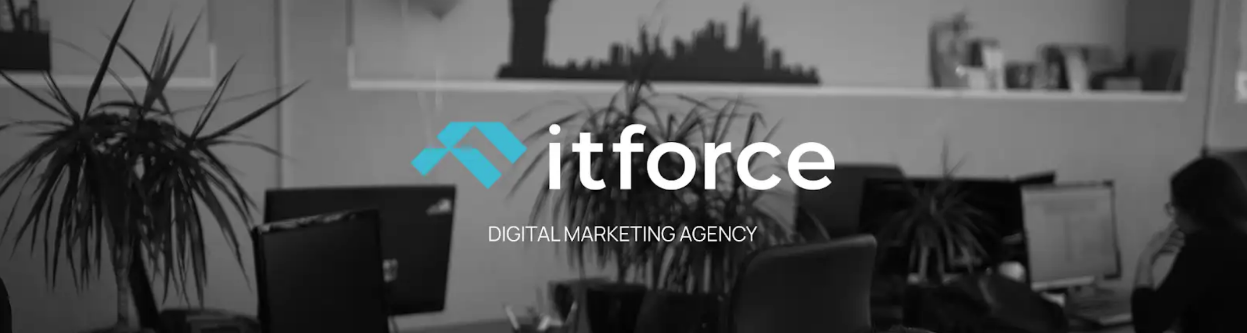 органічне просування сайту