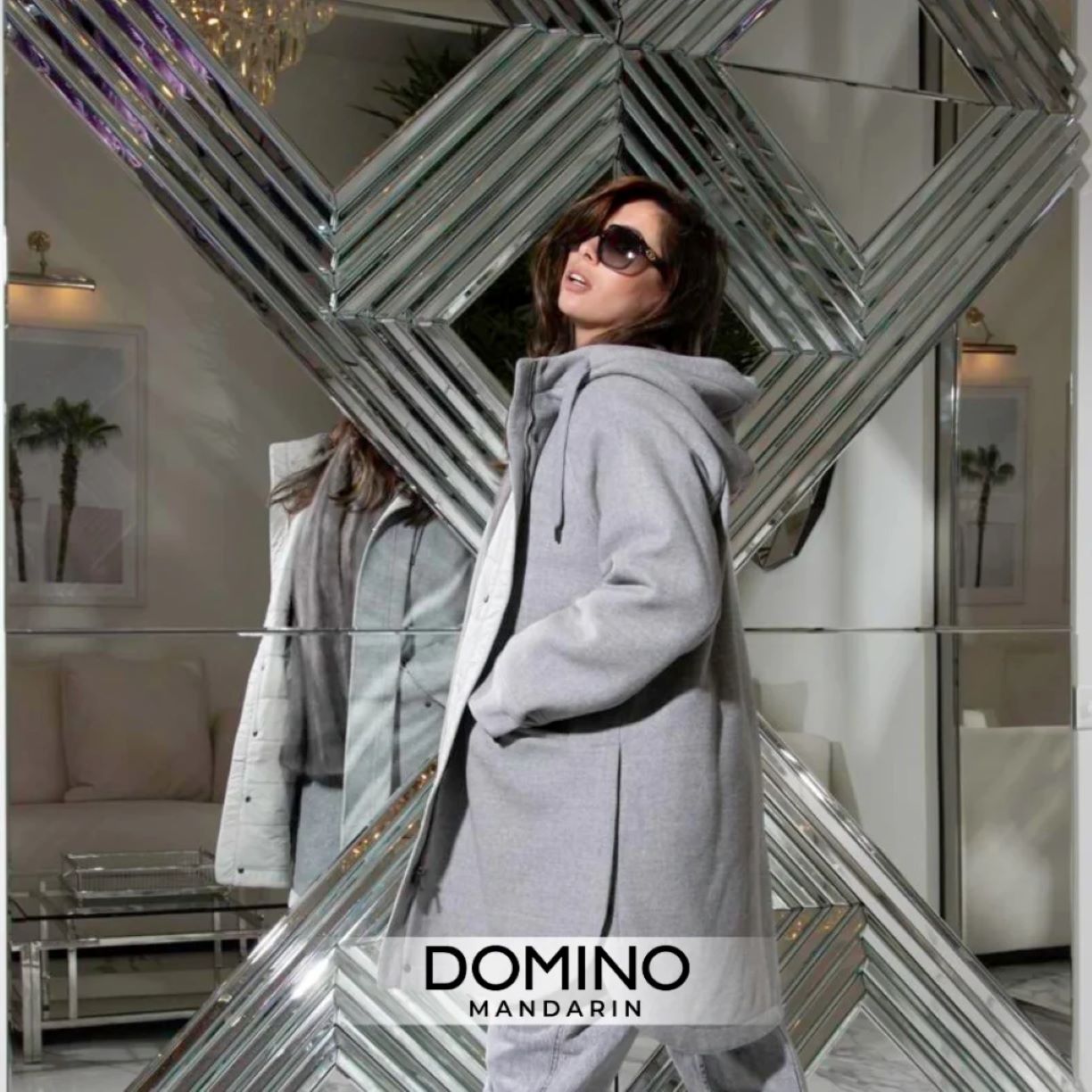 Domino Group