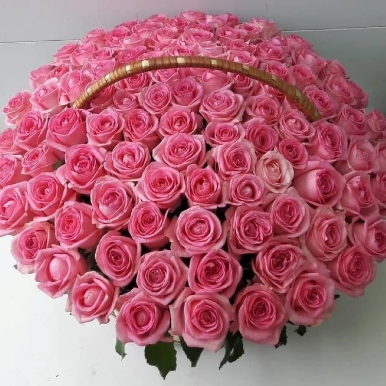 купить розы в Одессе