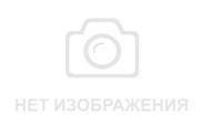 красота