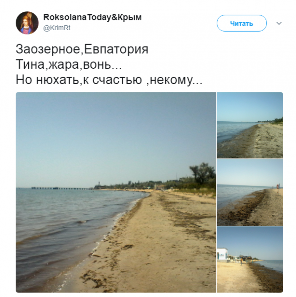 скриншот
