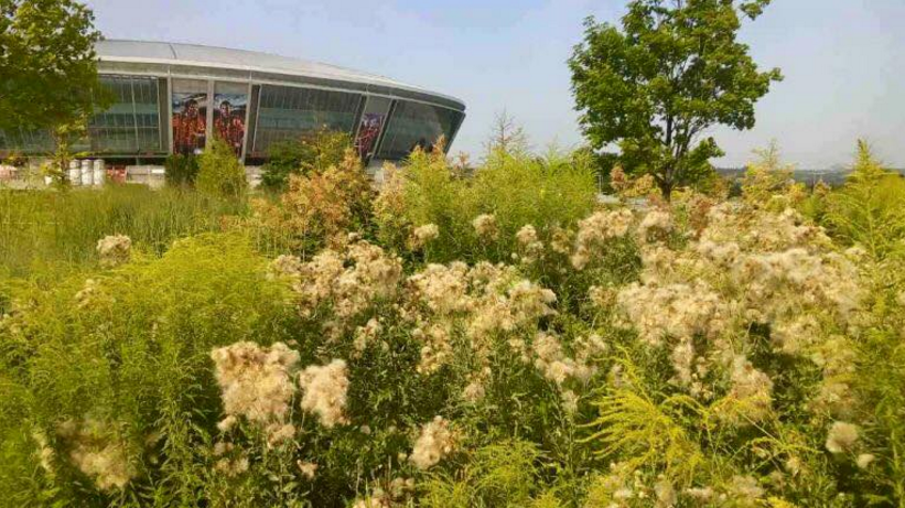 Донбасс Арена