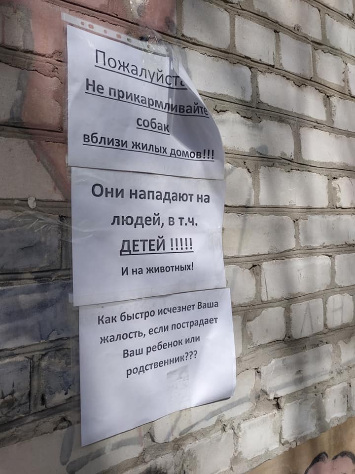 собаки