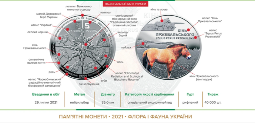монета