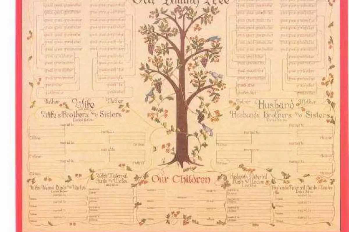 Семейное дерево Семейное дерево