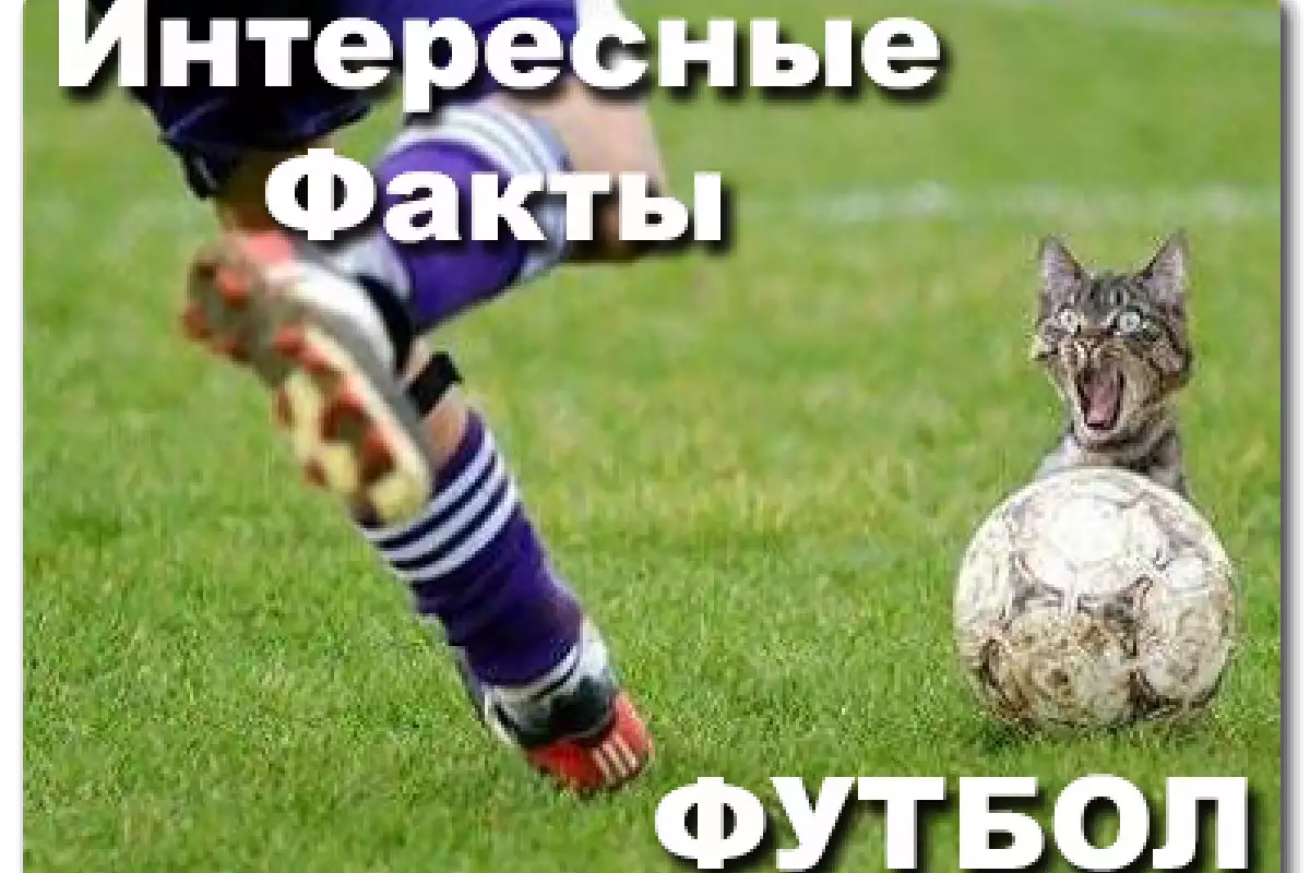 Интересные факты, связанные с футболом